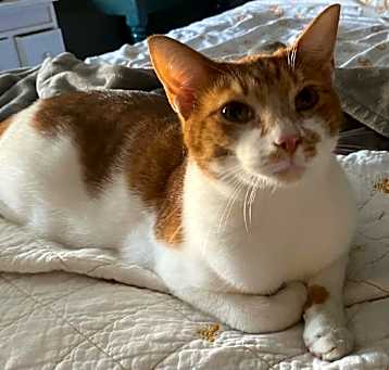 Photo of Leroy R