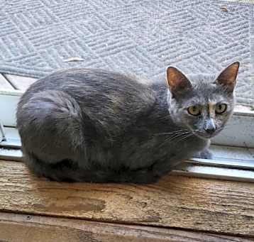 Photo of Bertha