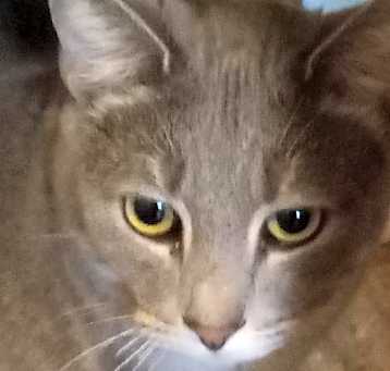 Photo of Marcia