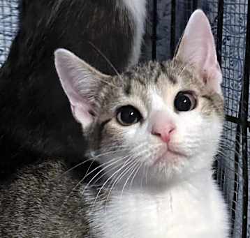 Photo of Sylvie