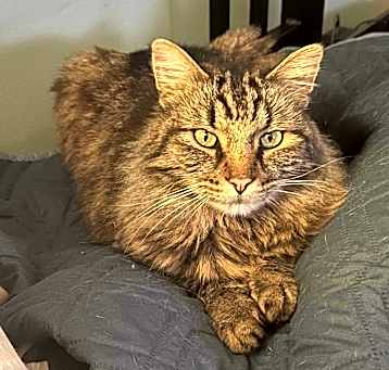 Photo of Fuzz