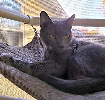 Photo of Jasmine
