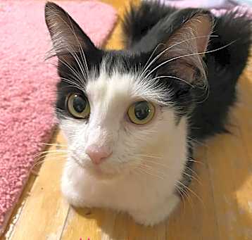 Photo of Molly