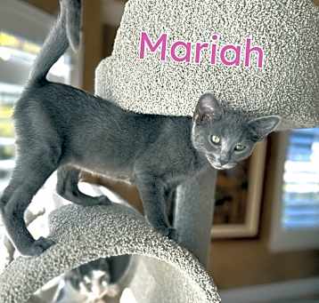 Photo of Mariah