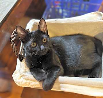 Photo of Jackson