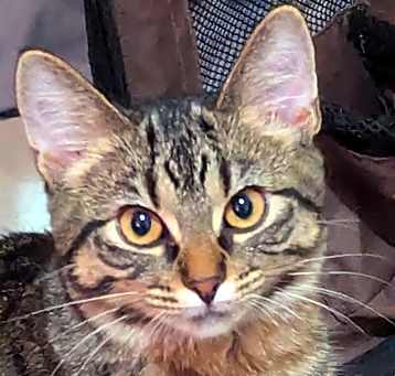Photo of SASSY