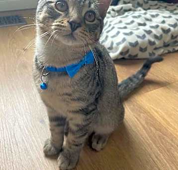 Photo of Echo
