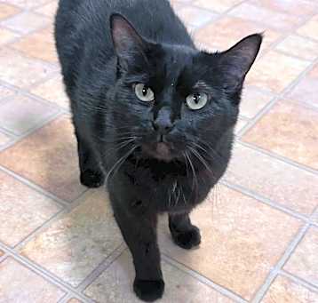 Photo of Lily