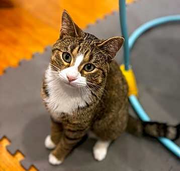 Photo of Pablo
