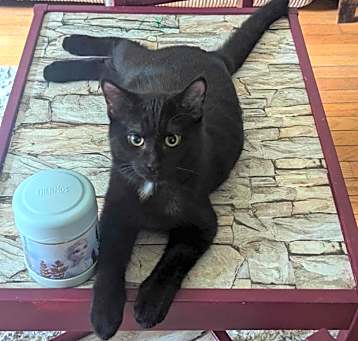 Photo of Fred