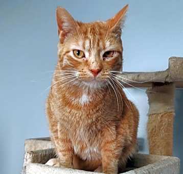 Photo of Salem