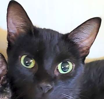 Photo of Tia