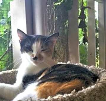 Photo of Lilly
