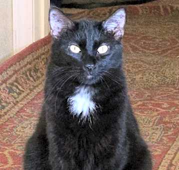 Photo of Dennis