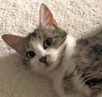 Photo of Sugar