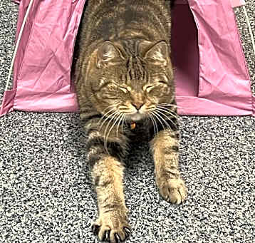 Photo of Amelia