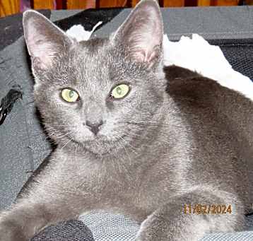 Photo of Timmey
