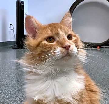 Photo of Hudson