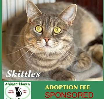 Photo of Skittles