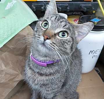 Photo of Phoebe