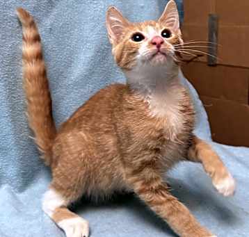 Photo of Alvin