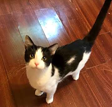 Photo of Dottie