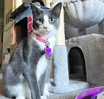 Photo of Lilly