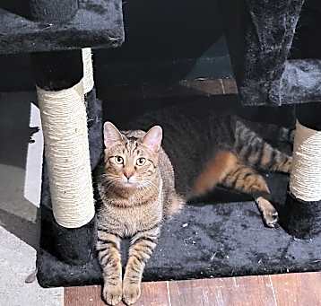 Photo of Finn