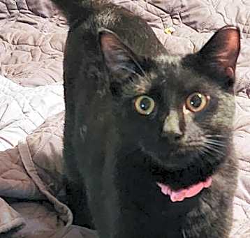 Photo of Amelia