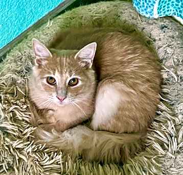 Photo of Milo