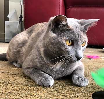 Photo of Greta