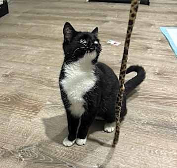 Photo of Lily