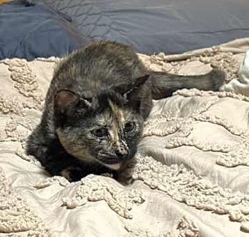 Photo of Zoe