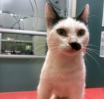 Photo of Murphy