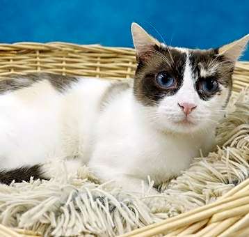 Photo of Samantha