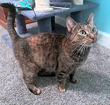 Photo of Jazzy