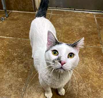 Photo of Ghost
