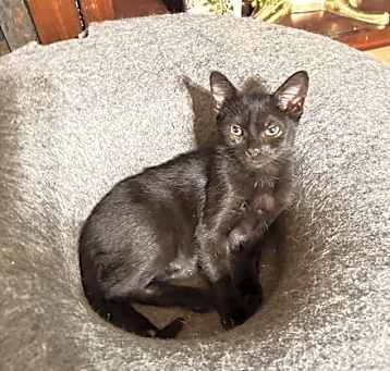 Photo of Storm