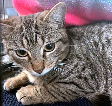 Photo of Java