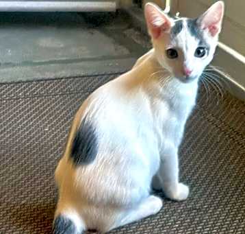 Photo of Murphy