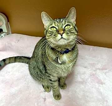 Photo of Hazel