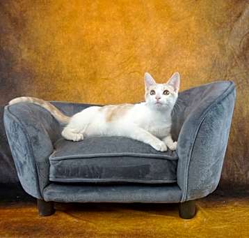 Photo of KYLA - GREAT PERSONALITY