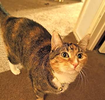 Photo of Bootsie