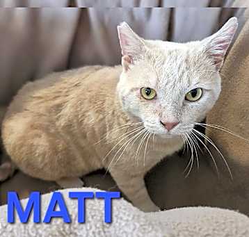 Photo of MATT