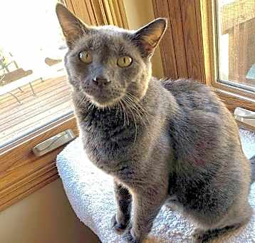 Photo of Petey