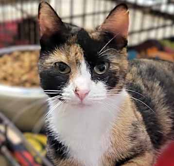 Photo of Tilly