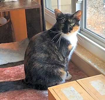 Photo of Mystique