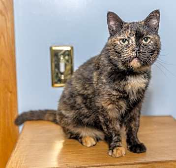 Photo of Betty