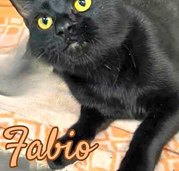 Photo of Fabio