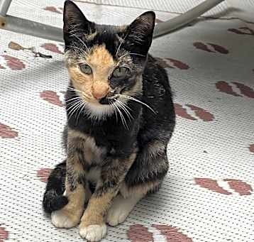 Photo of Sally